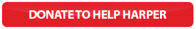 DONATE HARPER BUTTON