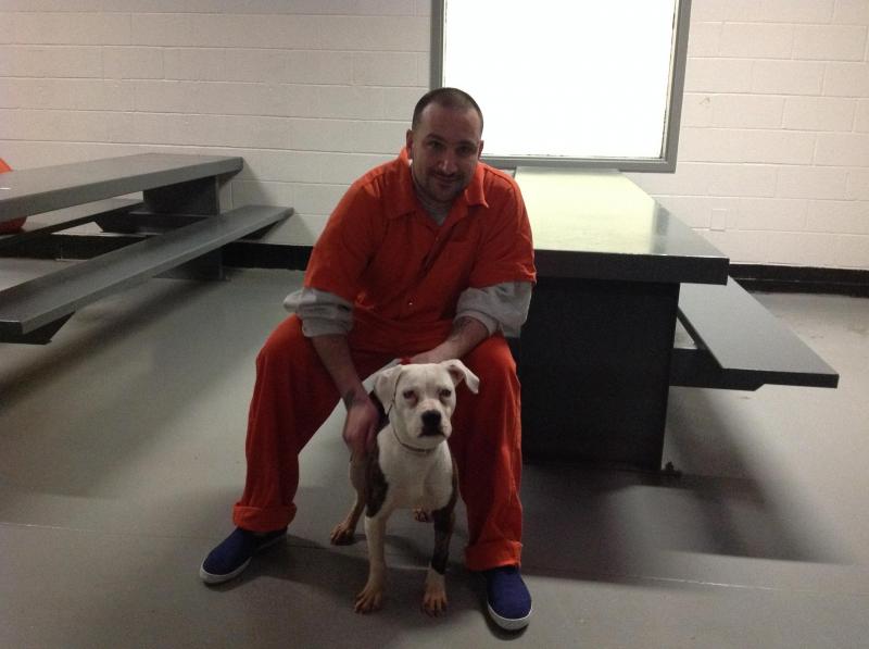 Miley Prisoner