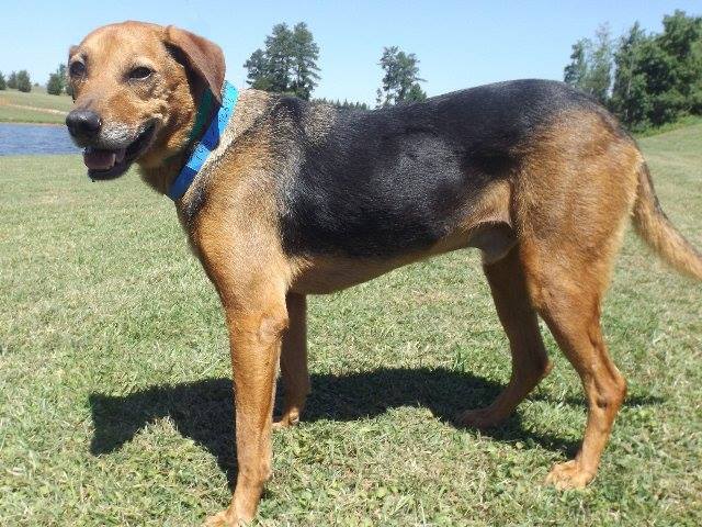 Gwinnett 40598