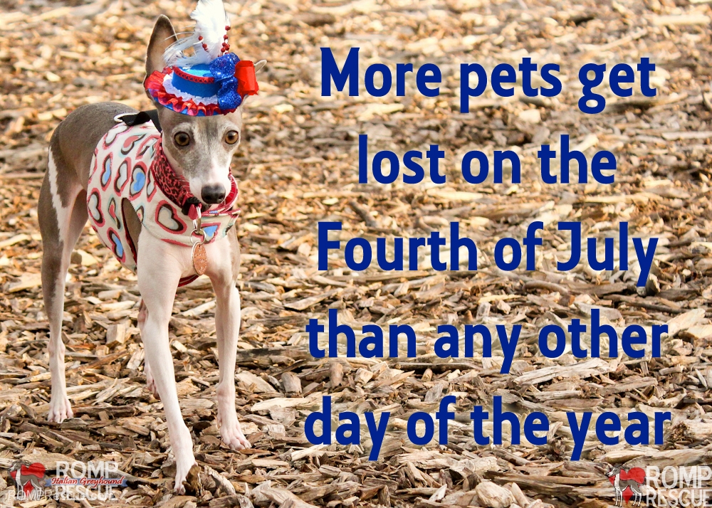 Pets-Get-Lost