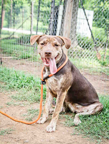 Betty1 copy