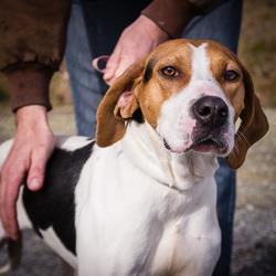 Ellie Mae
