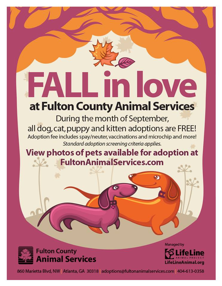 Fulton Animal Services Free