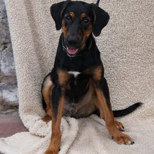 Miles1_2