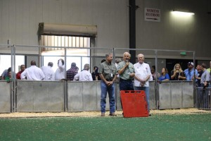 12 Oct Livestock show