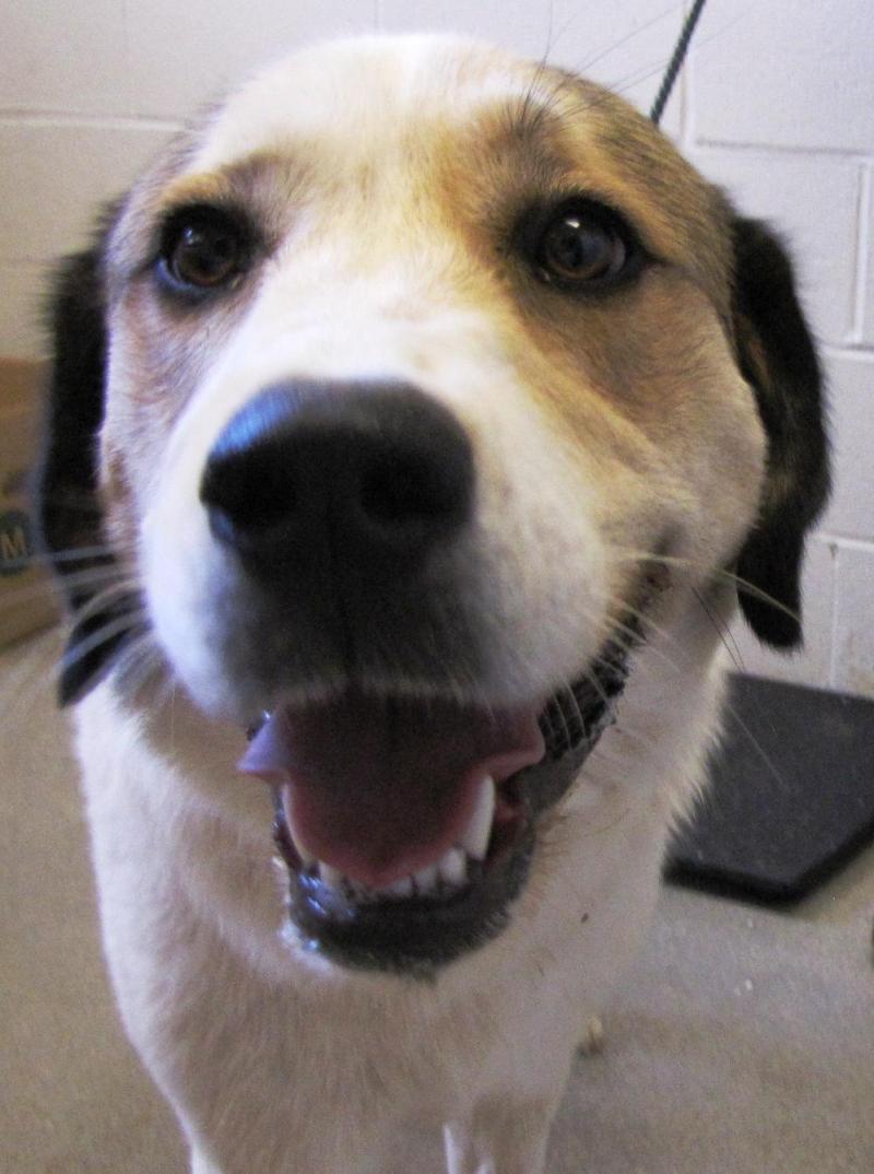 Ellie Mae