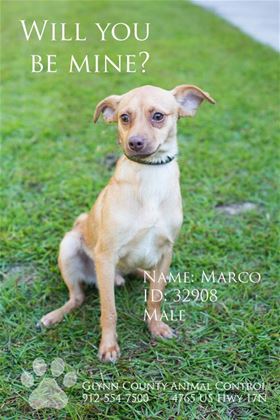 Marco