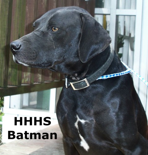Batman2