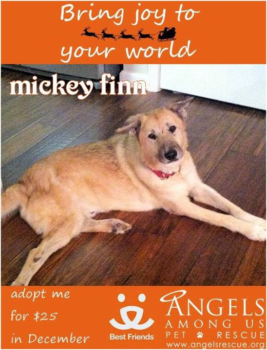 MickeyFinn