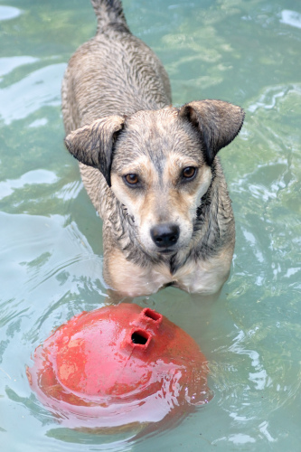 Theodora swimming