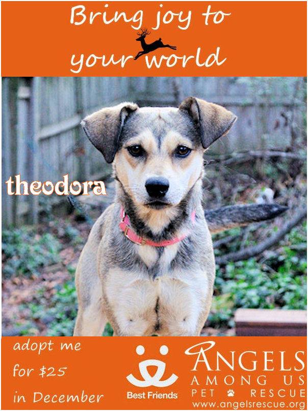 Theodora