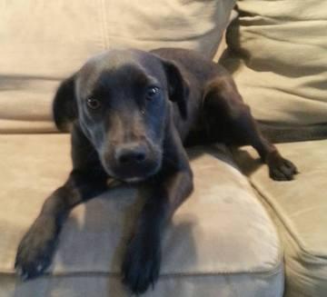 Casey Lab Macon