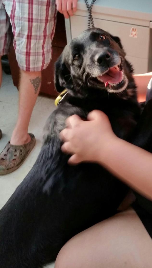 Oreo