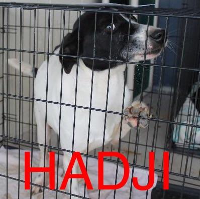 Hadji