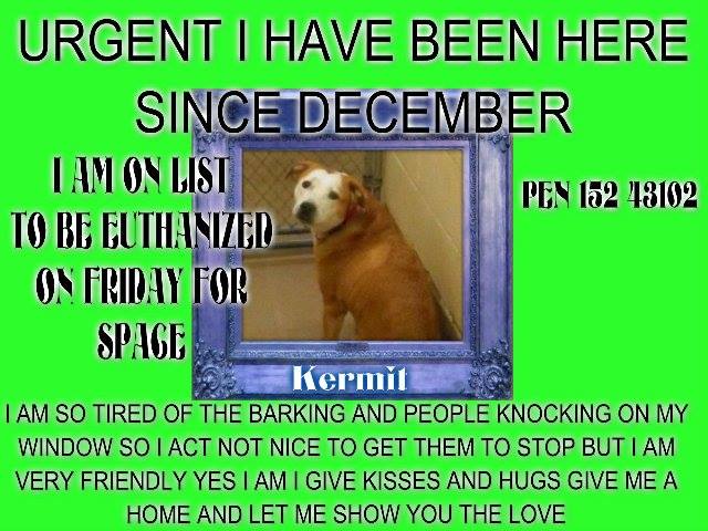 Kermit Gwinnett
