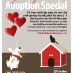 Adoptable Georgia Dogs for February 20, 2015