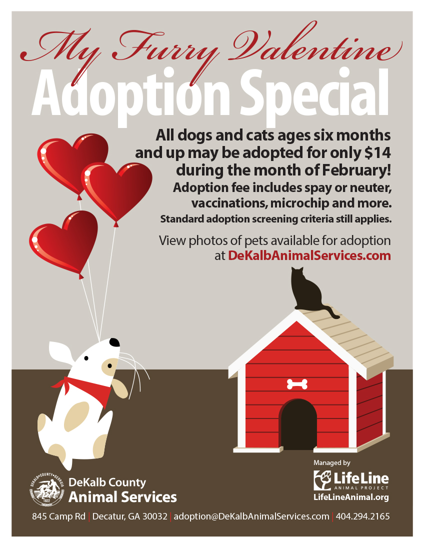 4113 valentines2015 fliersNEW