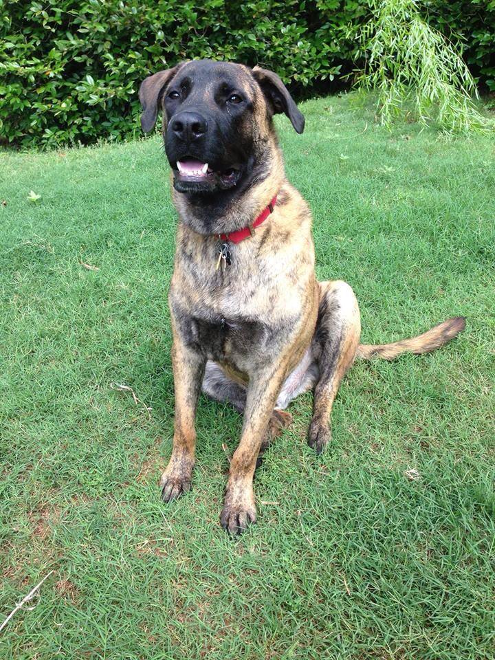MrMax