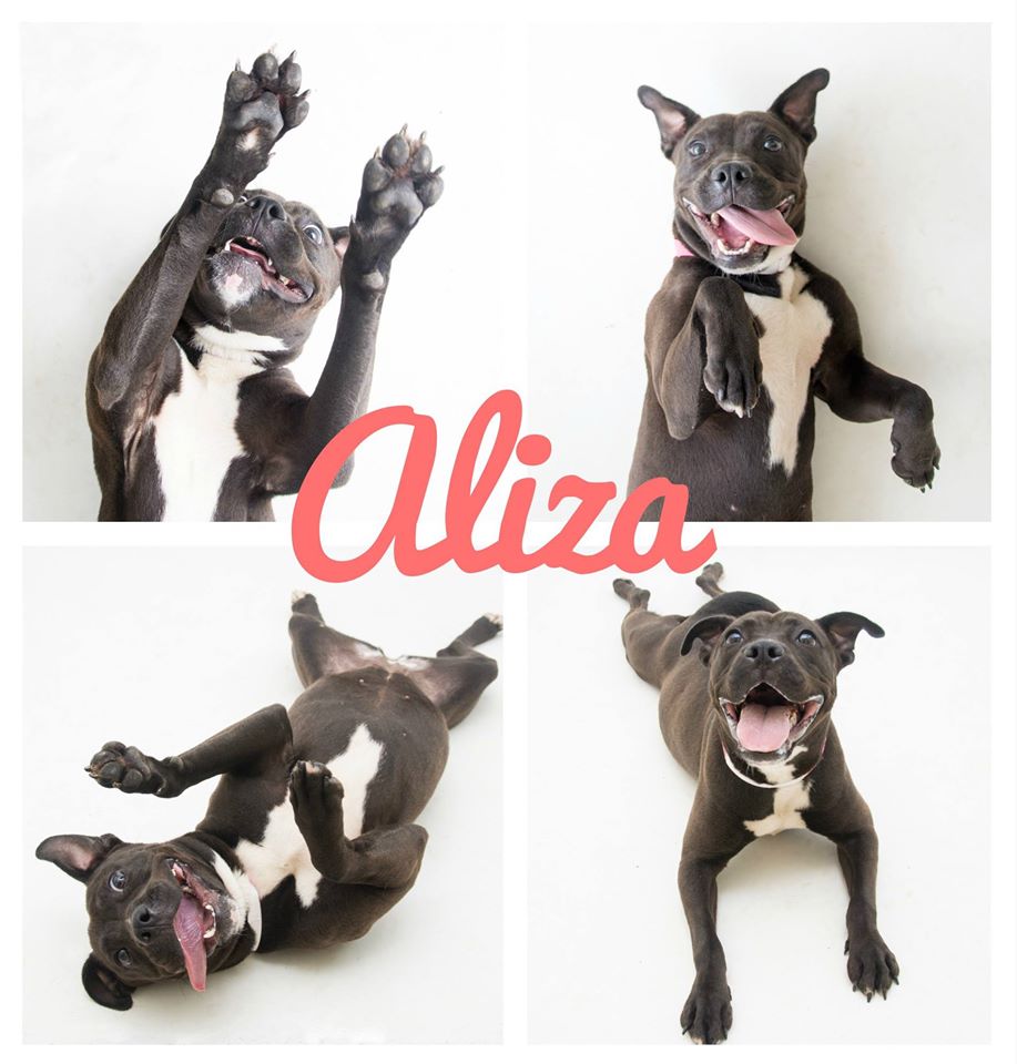 Aliza