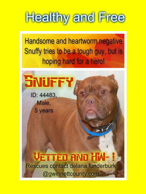 Snuffy