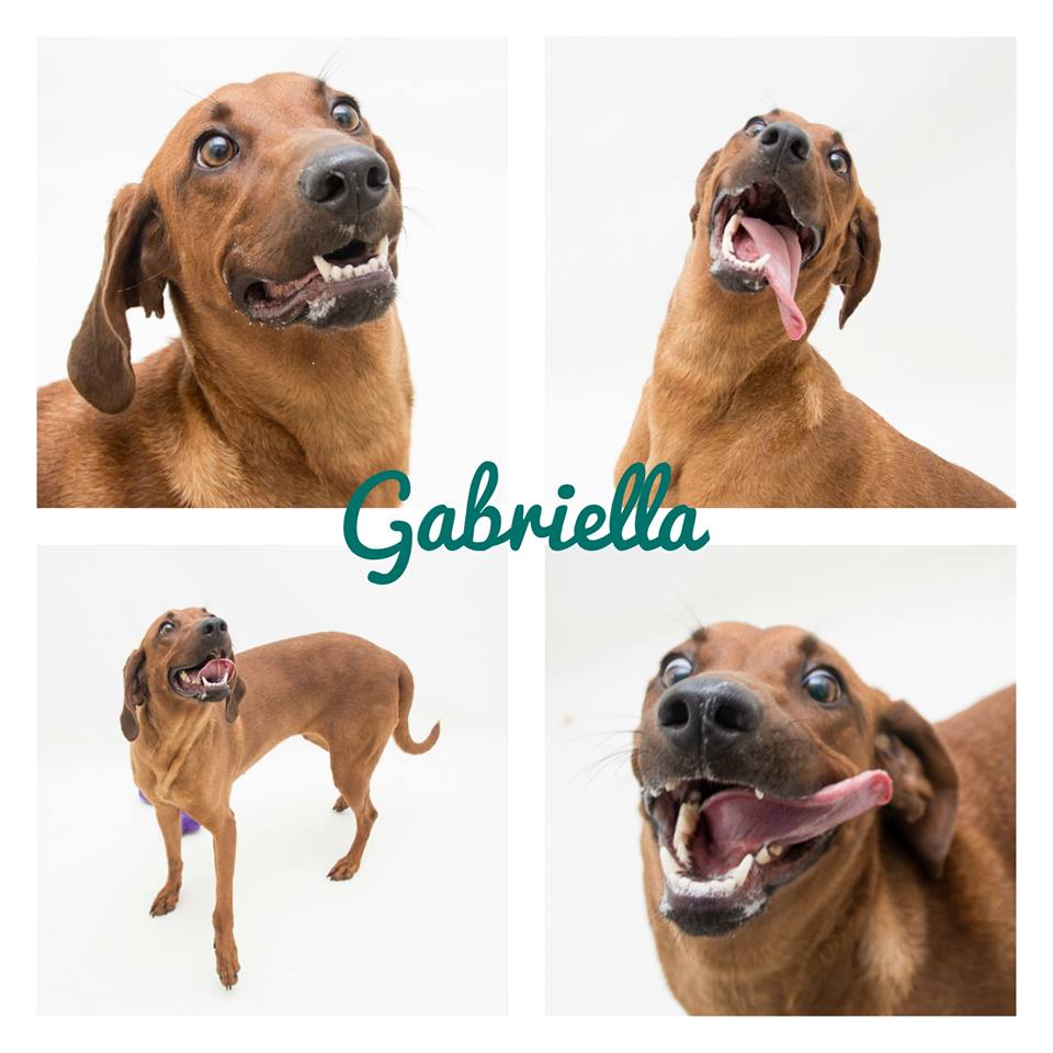 Gabriella