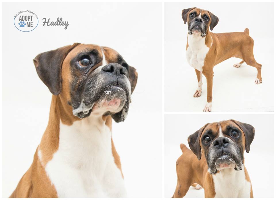 Hadley