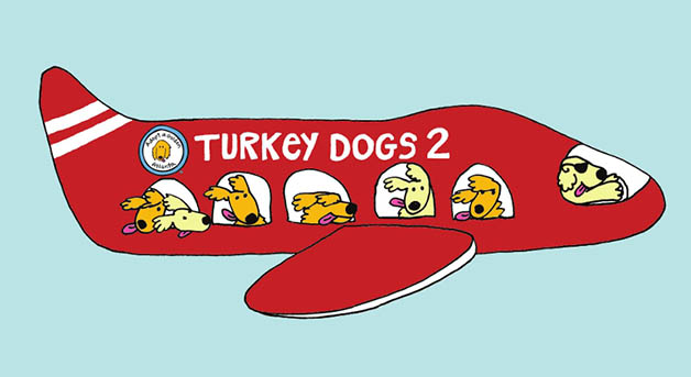 Turkey Dogs 2 Adopt Golden Atlanta