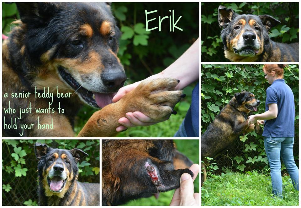 Erik