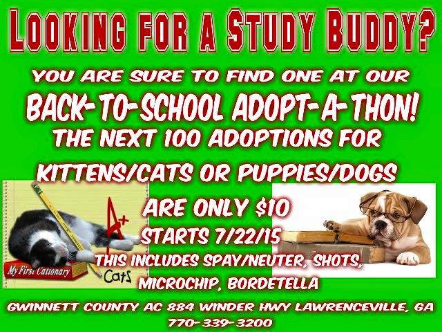 Gwinnett Adopt-a-Thon