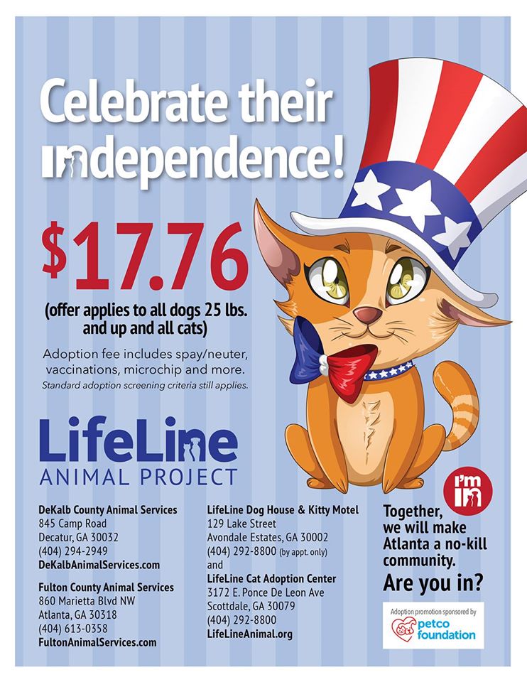 Lifeline Independence