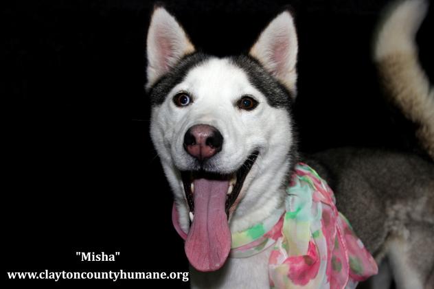 Misha