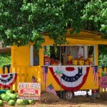Georgia Politics, Campaigns, and Elections for July 9, 2015