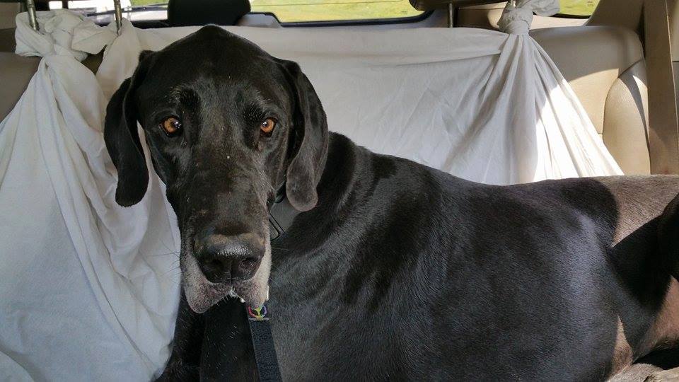 Sampson