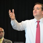 Georgia Politics, Campaigns, and Elections for July 3, 2015