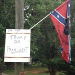 Georgia Politics, Campaigns, and Elections for July 14, 2015