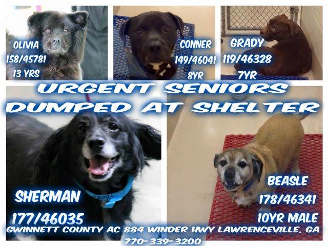 Gwinnett Urgents 0819