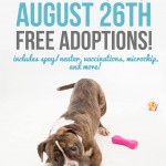 Adoptable Georgia Dogs for August 26, 2015