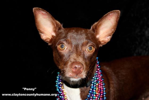 Penny