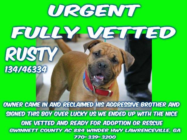 Gwinnett Rusty