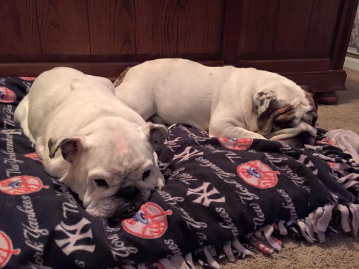 Jezebel and Tobey