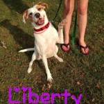 Adoptable Georgia Dogs for September 4, 2015