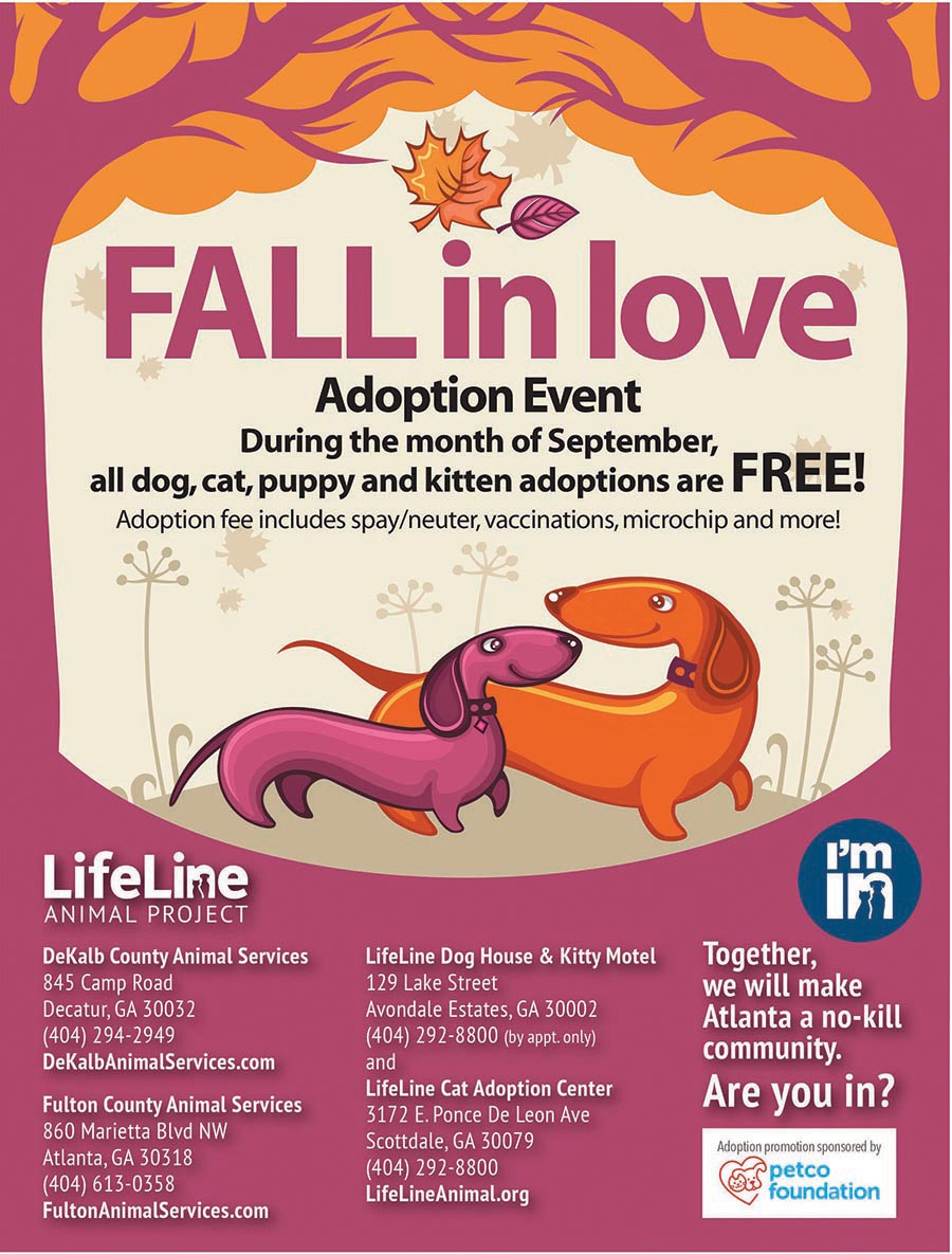4113N fall flier_f