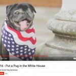 Best Presidential Election ad this year