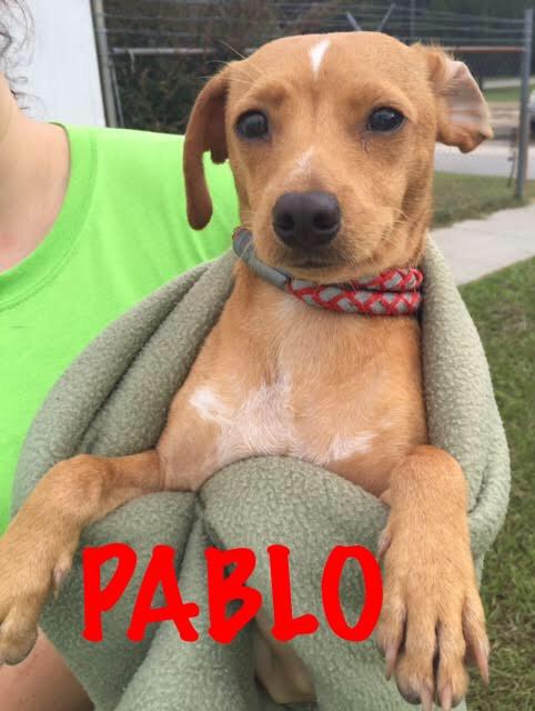 Pablo