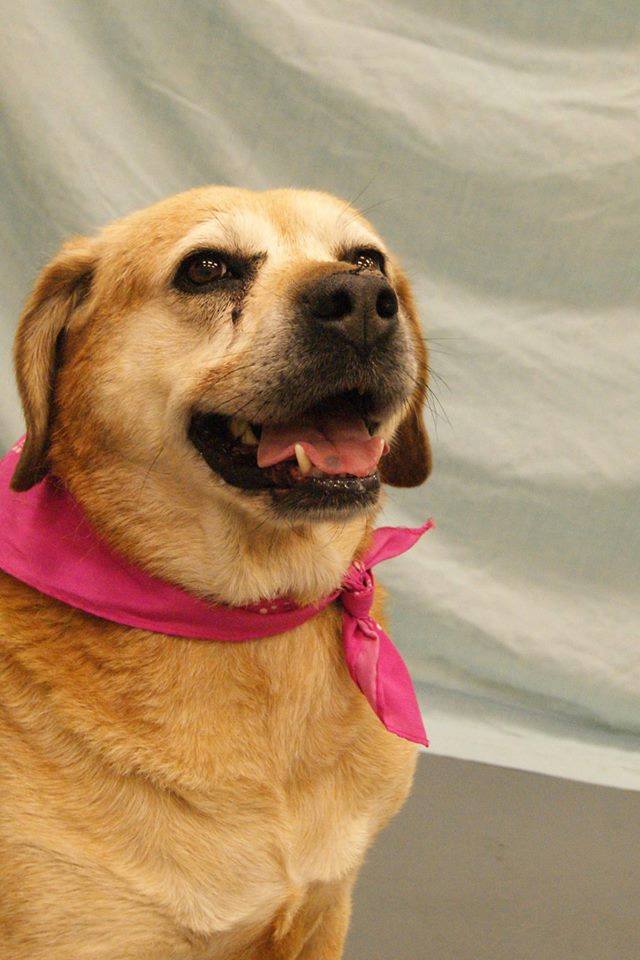 Pebbles smiling