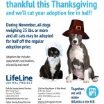 Adoptable Georgia Dogs for November 10, 2015