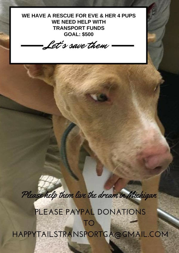 Save Pups Macon