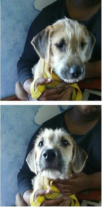 Theodore