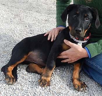 Ellie Mae