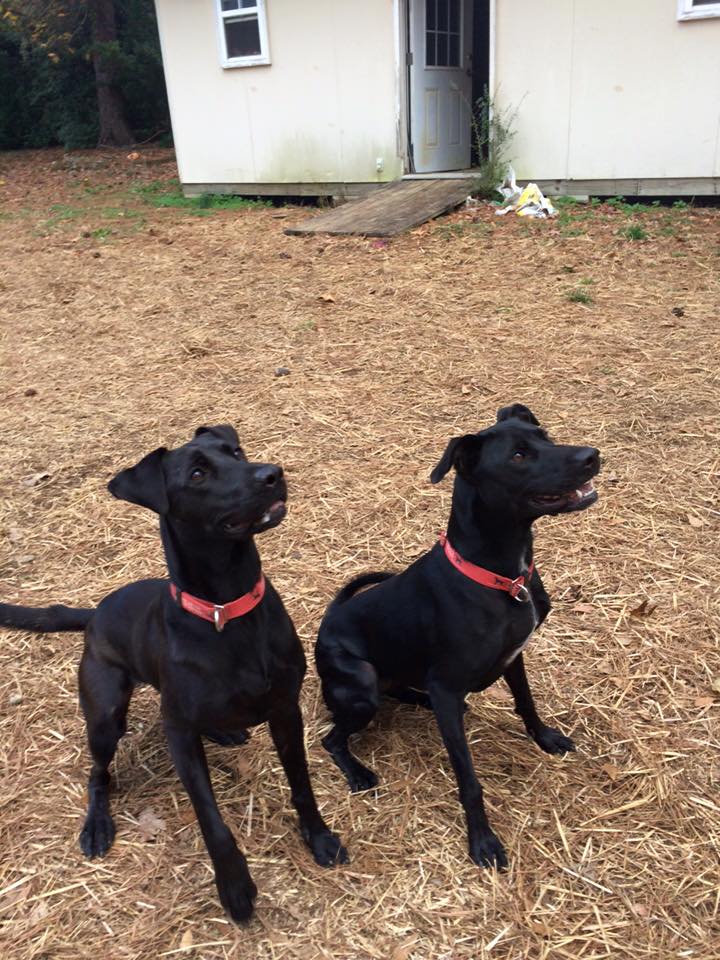 Juniper and Danielle